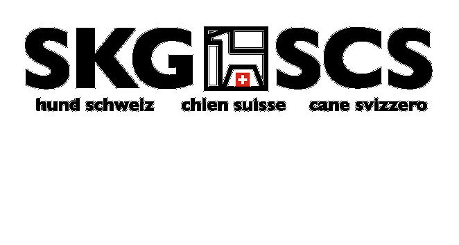 Logo SKG news