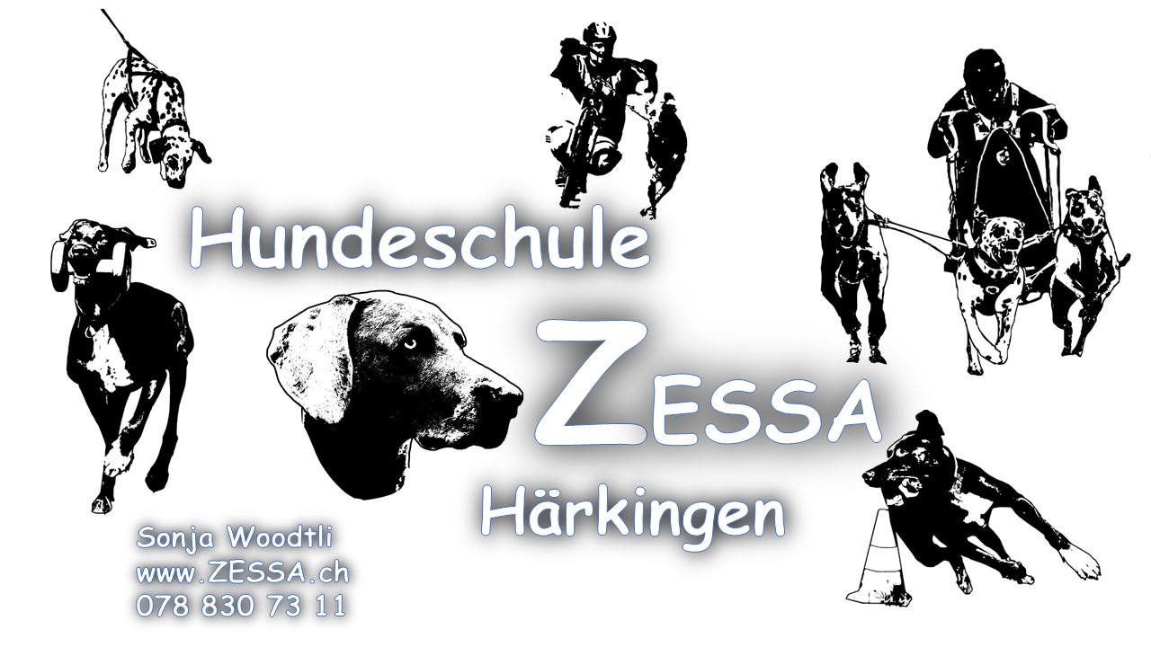 Hundeschule Zessa Logo Dalmatinerzeitung