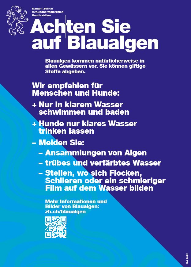 Blaualgen